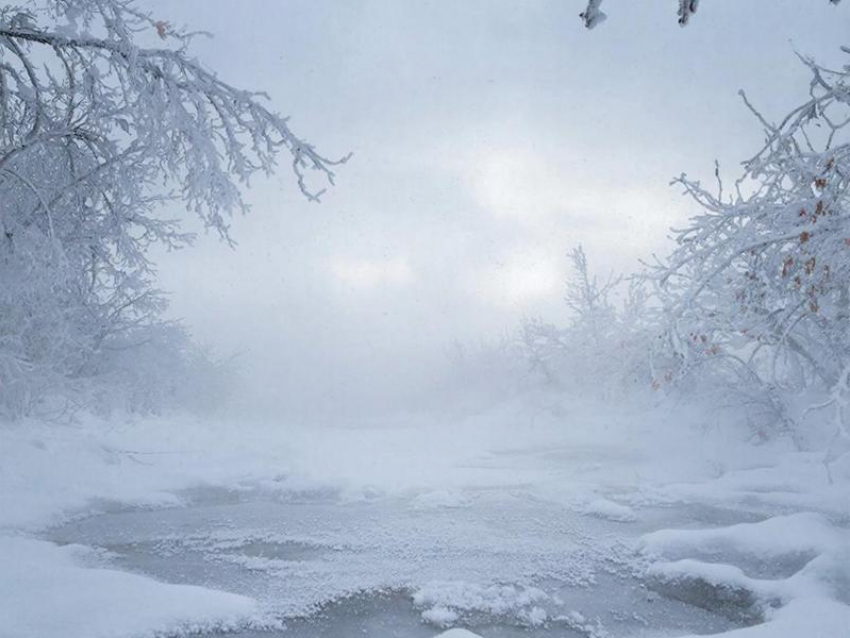 Праздник 8 марта принесет холода Воронежу, но потом случится долгожданное 