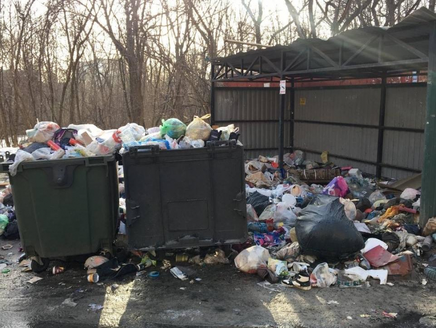 Мусорная свалка создала для водителей аварийную ситуацию в Воронеже