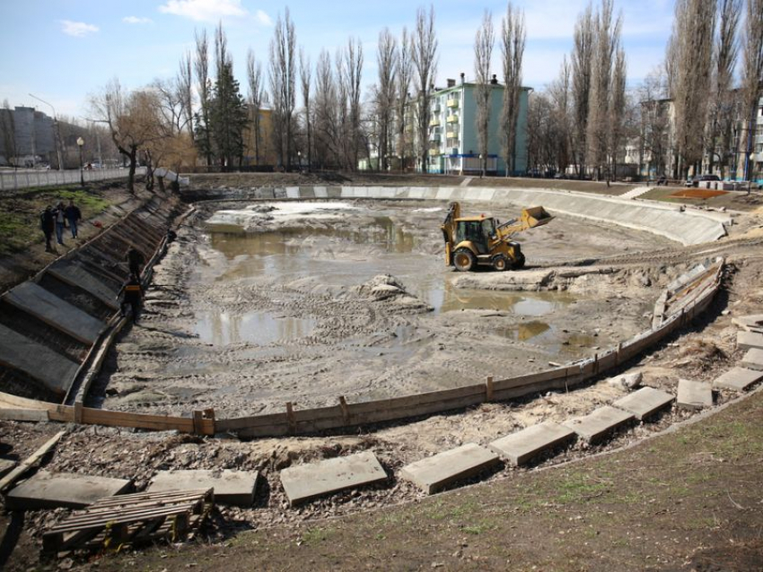 Лебединое озеро начали снова реконструировать на Минской в Воронеже