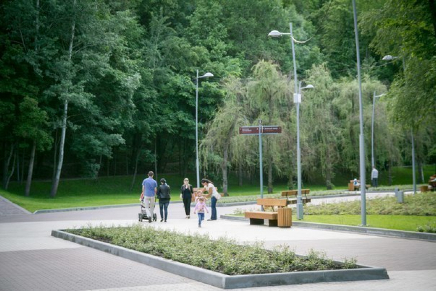 Воронежские чиновники закроют въезд на парковку парка «Динамо»