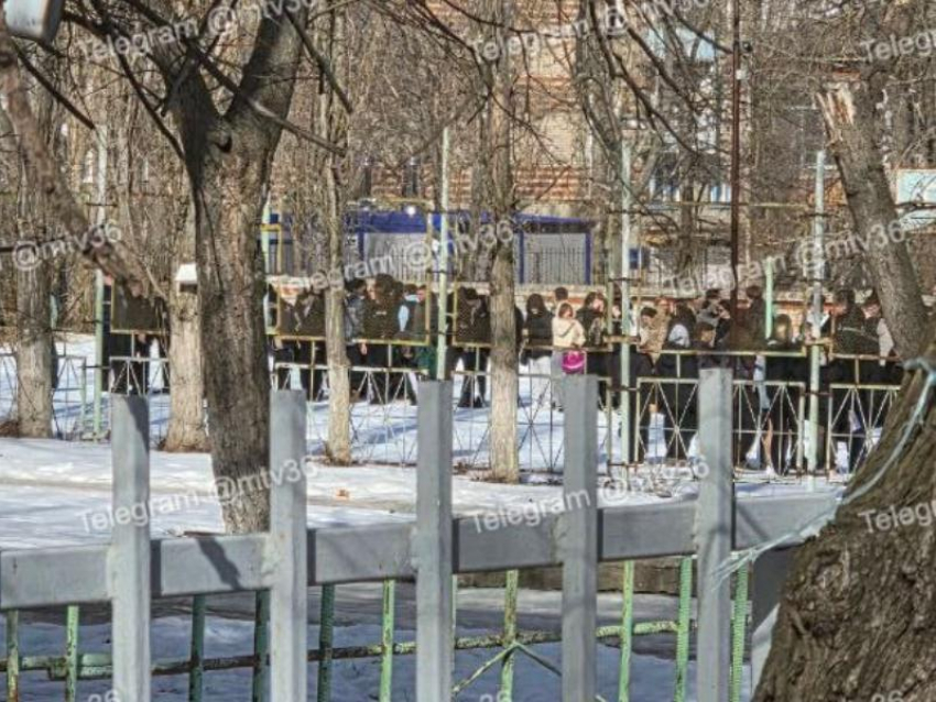 Несколько учебных заведений эвакуировали в Воронеже