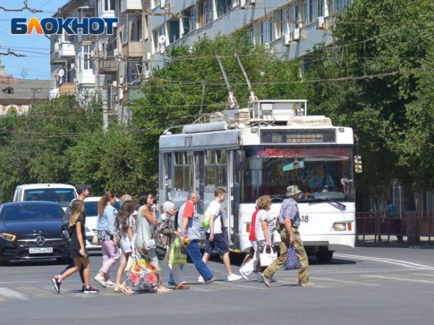 Один из троллейбусных маршрутов Воронежа заморозят на полтора месяца