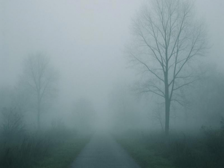 Пелена тумана скоро накроет Воронеж 