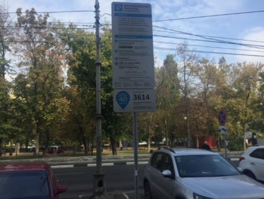 Названа сумма, которую потратили воронежцы на платные парковки 