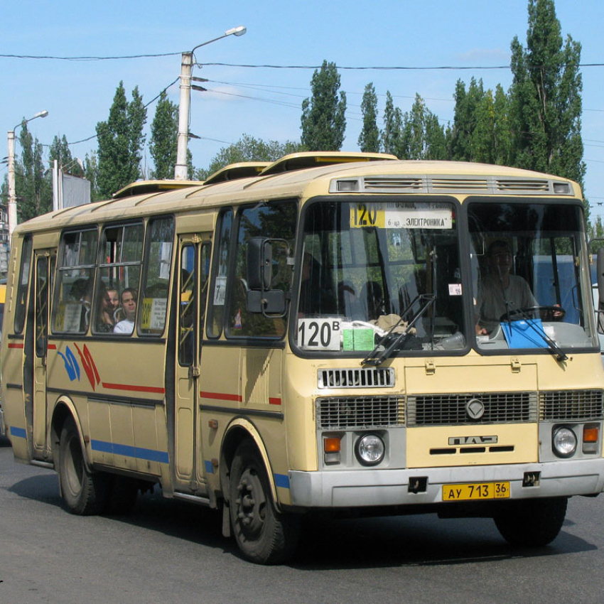В Воронежской области резко подорожает проезд на автобусах