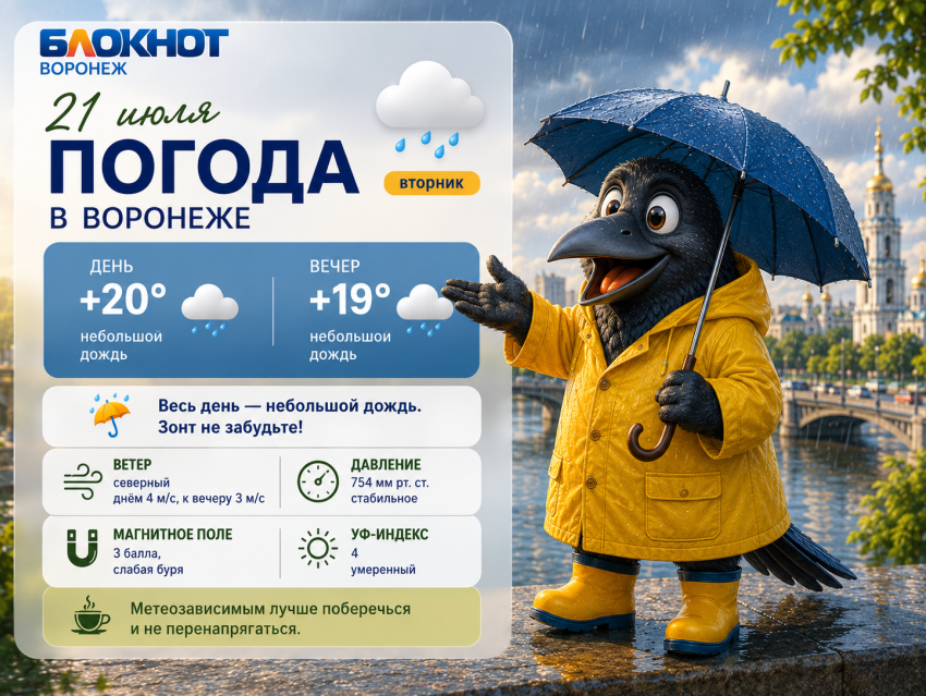 Лето ушло за хлебом: прогноз на ближайшие дни в Воронеже 