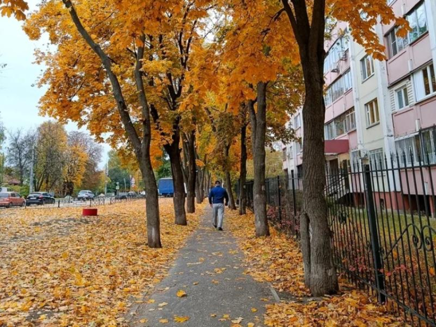 Прогноз погоды до конца последней рабочей недели октября