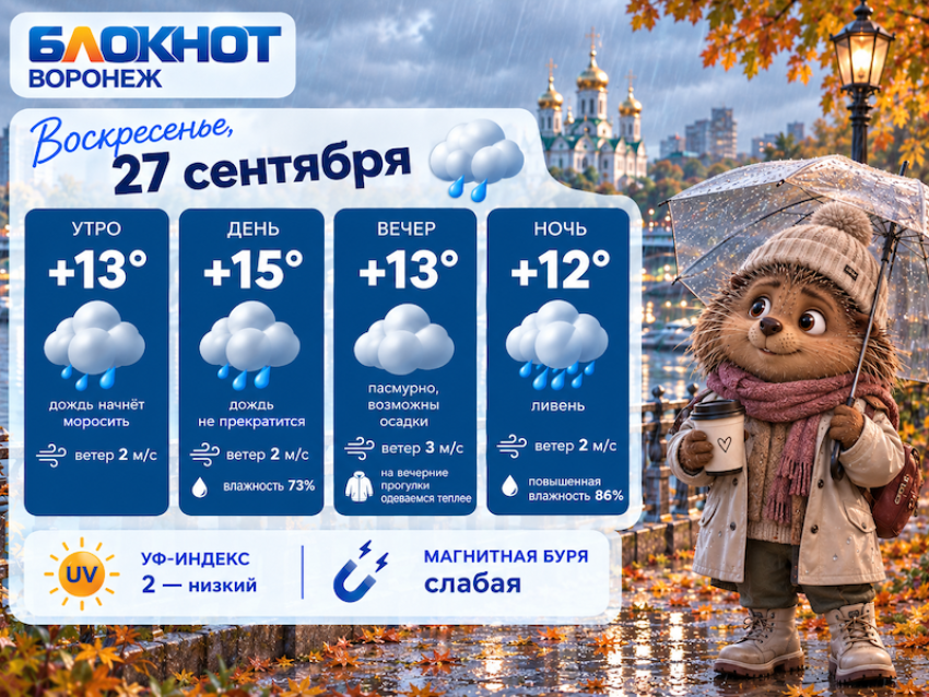 Осень не сдаётся: прогноз погоды в Воронеже