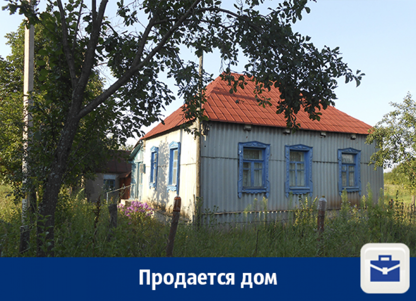 Продается дом под Воронежем