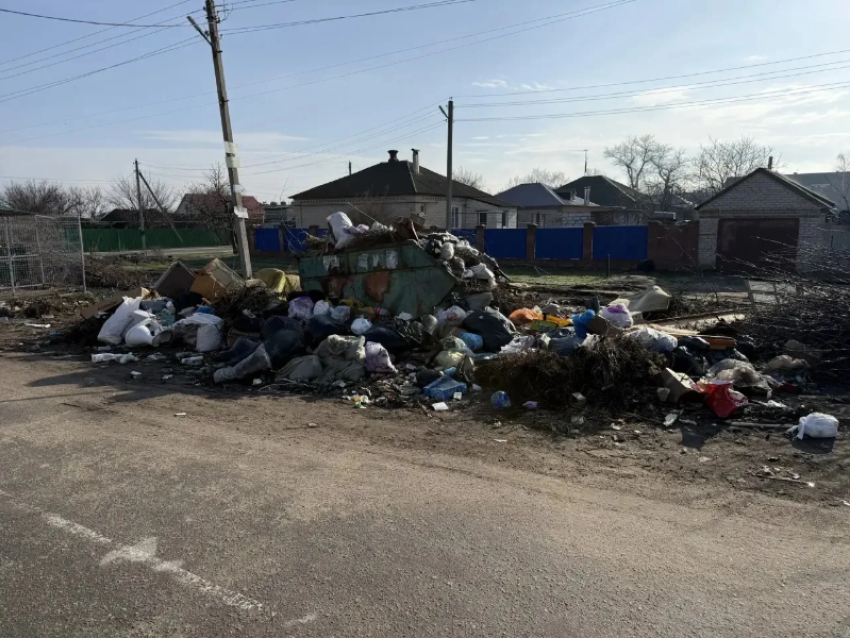 Будущий центр туризма Воронежской области тонет в мусоре