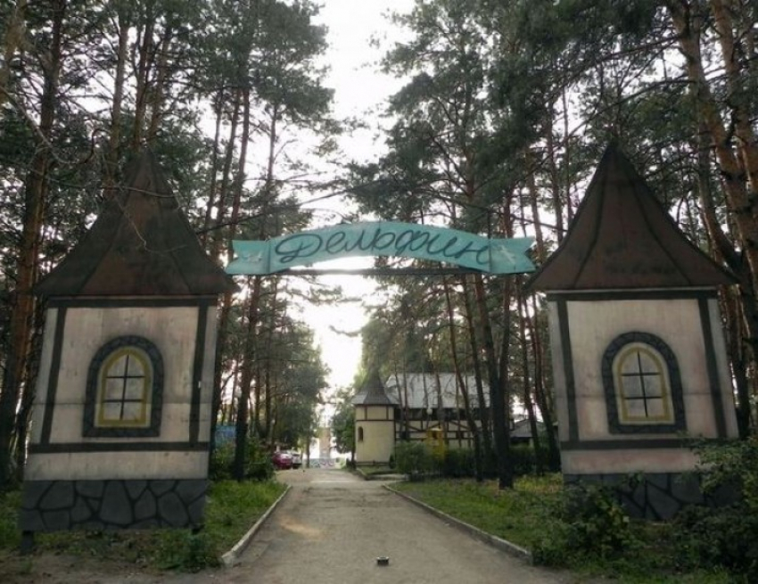Воронежский суд остановил работу кафе в парке Дельфин