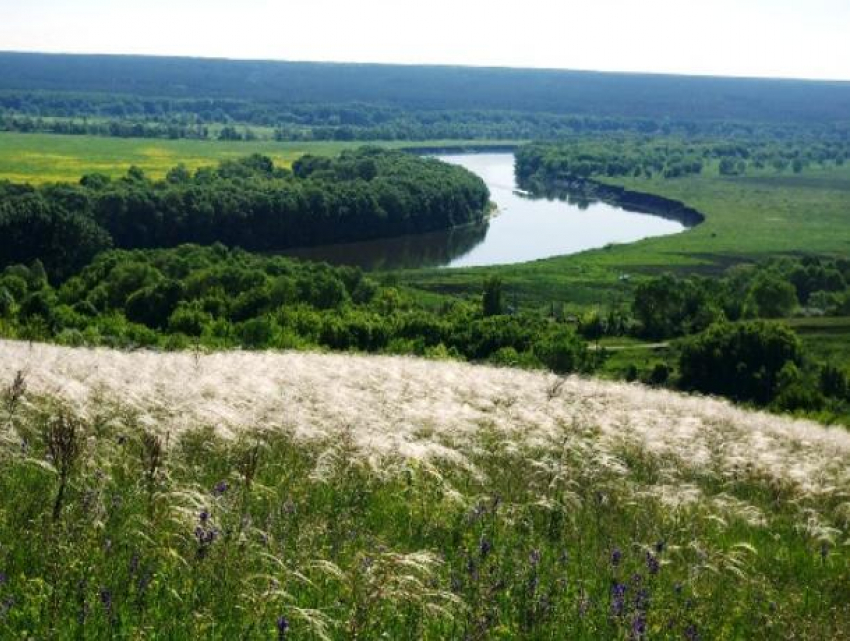 Мониторинг за полмиллиона рублей проведут перед укреплением Дона в Воронежской области