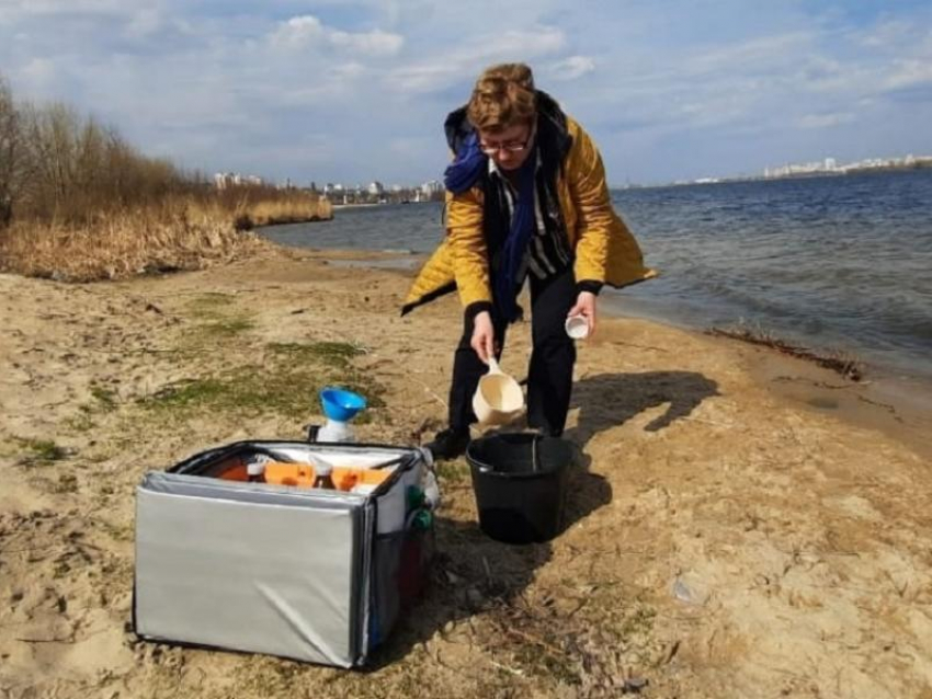 Птицы на берегу водохранилища в Воронеже могли умереть от пневматических выстрелов