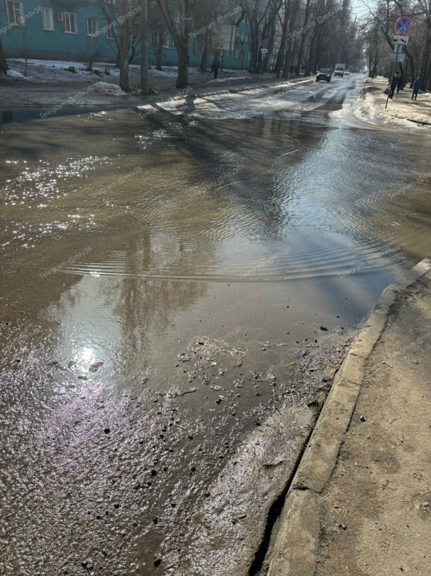  «Без противогаза можно потерять сознание»: воронежцы пожаловались на канализационный кошмар