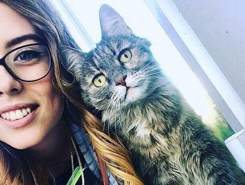 Кошка ведет пары у воронежских студентов и публикует фото в Instagram