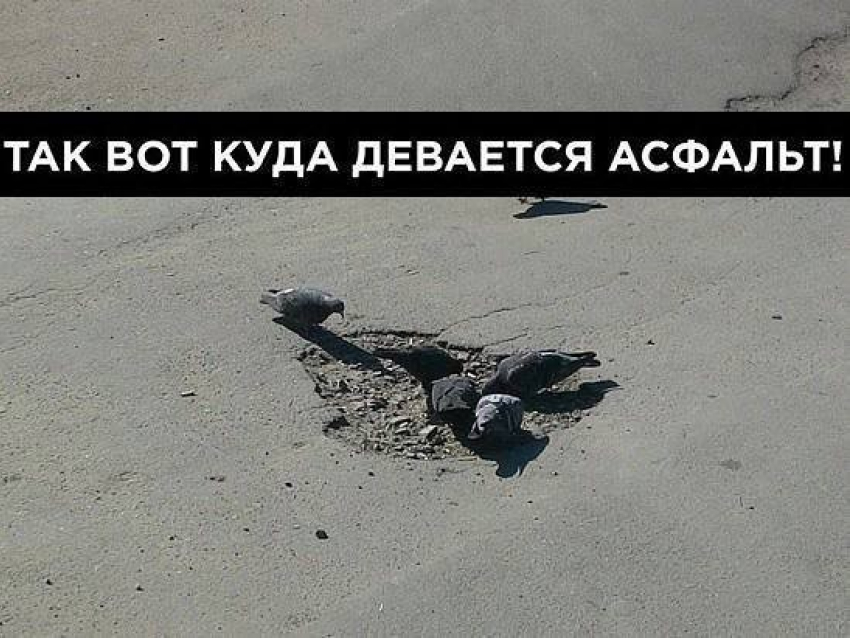 Воронежцы выяснили, откуда берутся дырки на городских дорогах  