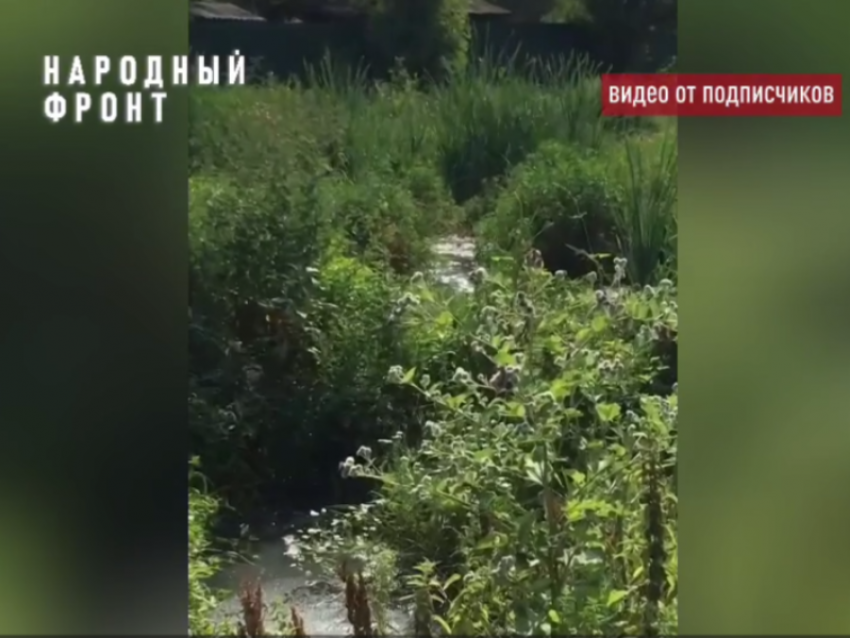 Вонючие «грунтовые воды» с нечистотами бегут по Воронежской области