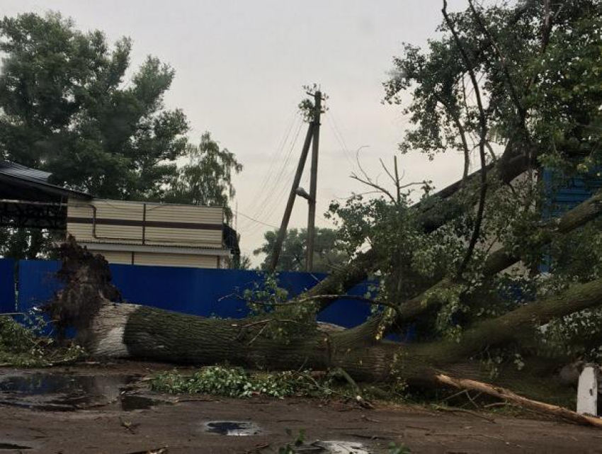 Разрушительные последствия урагана в Воронежской области показали на фото 