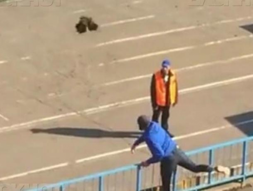 Фанату, бросившему петуха в тренера в Воронеже, вынесли приговор