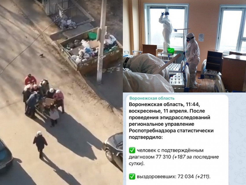 Коронавирус в Воронеже: +187 зараженных, 14 смертей и «битва» за просрочку 