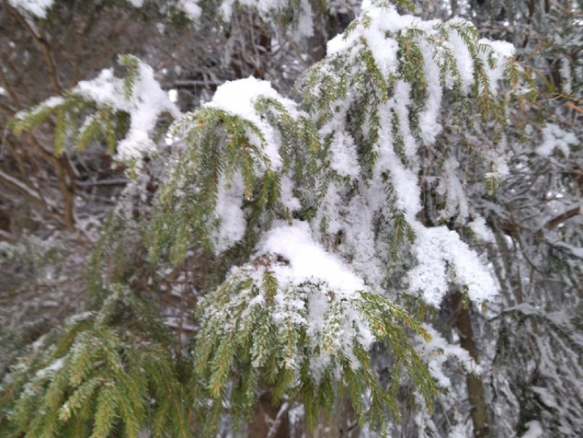 Продлен оранжевый уровень опасности для Воронежа из-за аномальных морозов