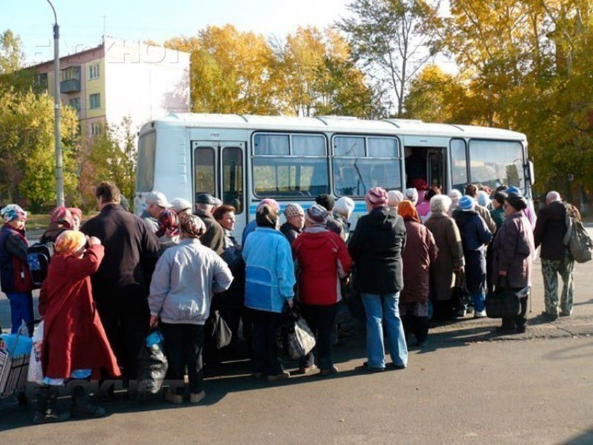 В Воронеже появится новый сезонный маршрут до садов