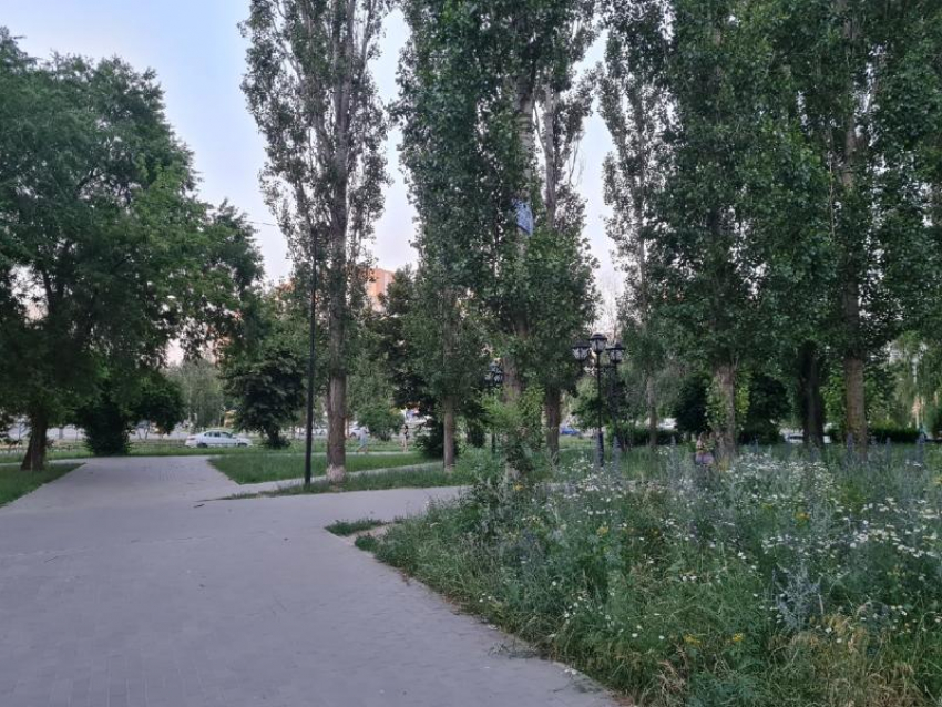 Сквер имени командующего Воронежским фронтом приобрел неприглядный вид 
