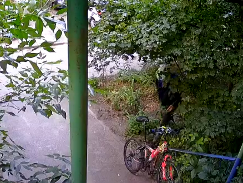 Вылез из кустов: наглая кража велосипеда  попала на видео в Воронеже