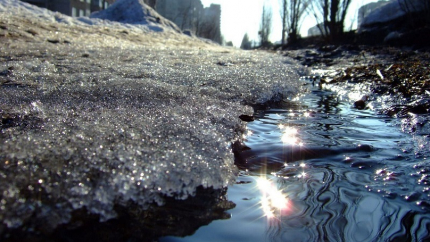 Стремительное наступление весны обещают воронежцам синоптики 