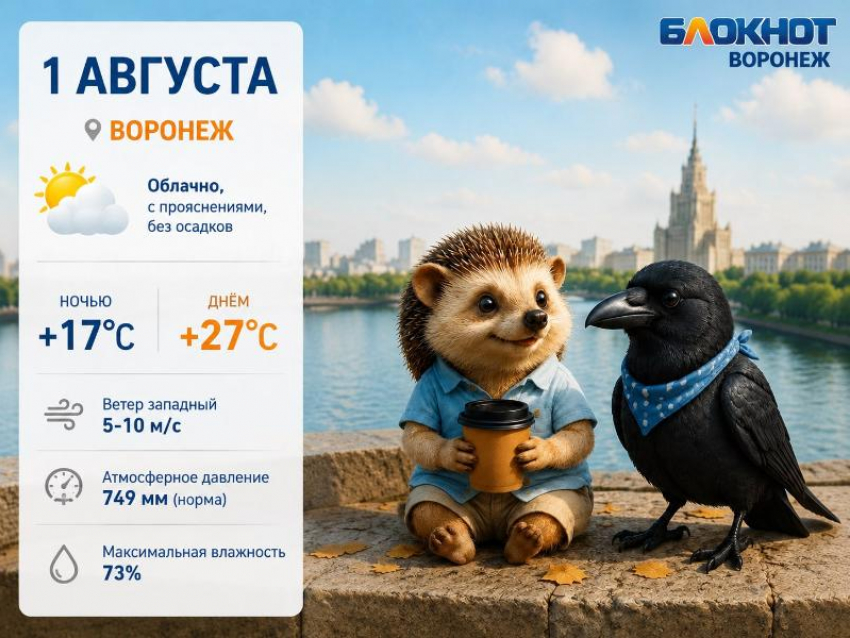 Знойные температуры возвращаются в Воронеж с началом августа: прогноз погоды на выходные