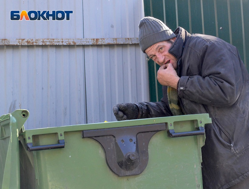 В каких районах Воронежа появятся контейнеры для раздельного сбора мусора