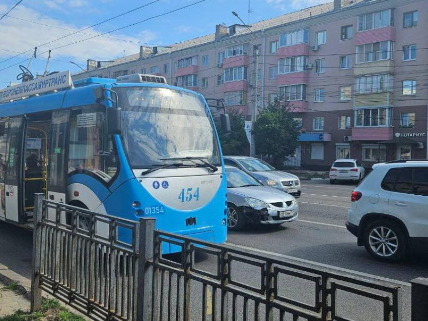 Поездка на троллейбусе впечатлила жительницу Воронежа