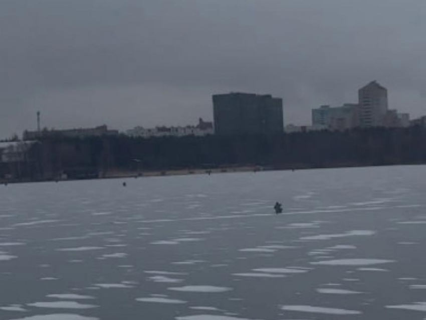 Отчаянные январские приключения попали на видео в Воронеже