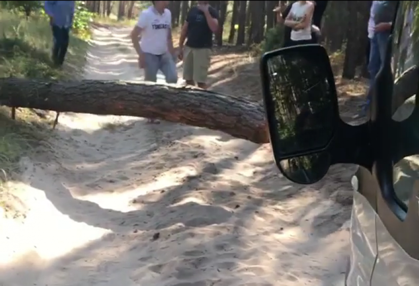 Лесной затор в объезд воронежского Лосево попал на видео