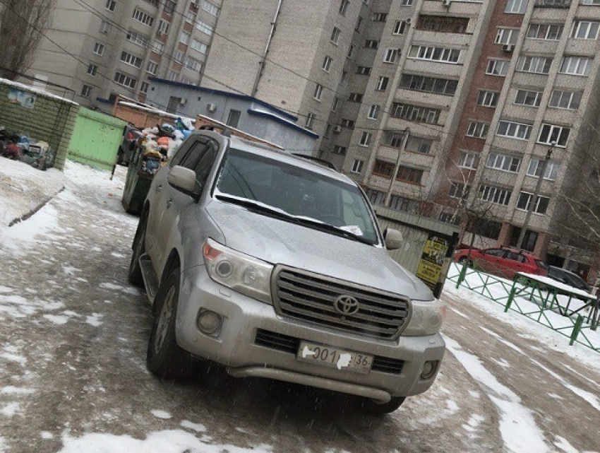 Воронежцы испугались класть пакеты с мусором на элитную машину автохама