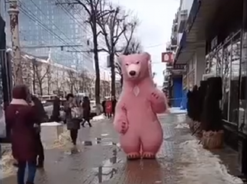 Огромный розовый медведь забавно поздравил воронежцев с Днем всех влюбленных