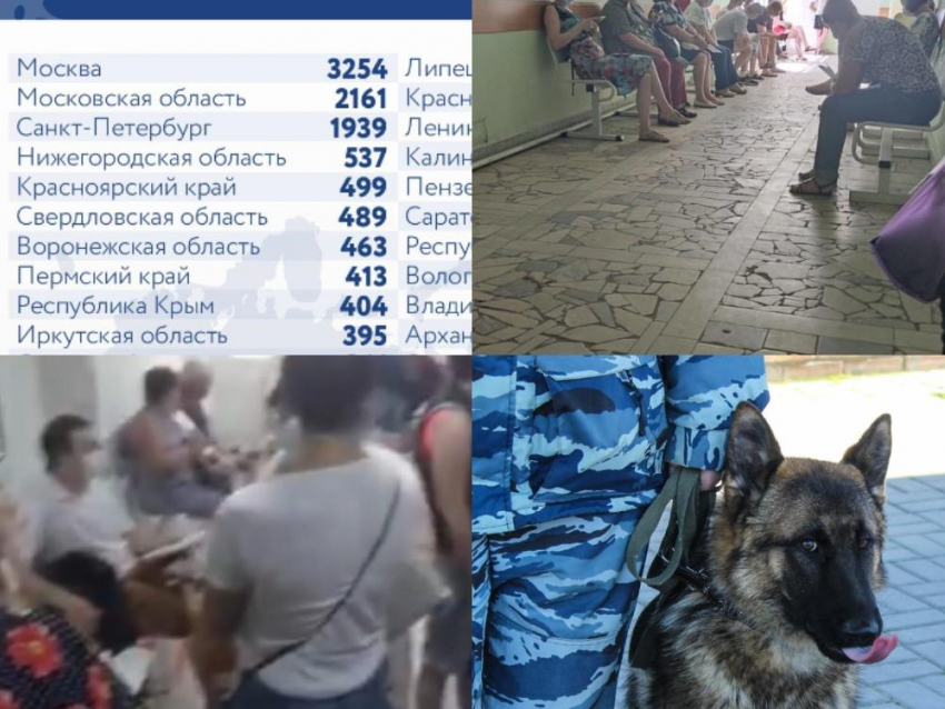 Коронавирус в Воронеже 21 июля: + 463 заболевших, очереди в поликлиниках, слежка за больными и перенос фестивалей 