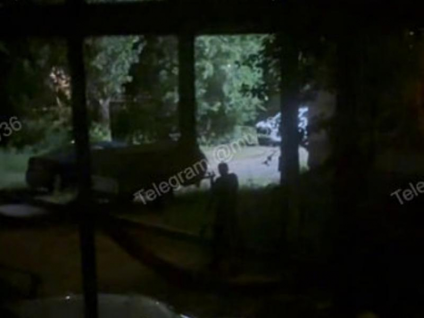 Имитирующий звук сирены воронежец попал на видео