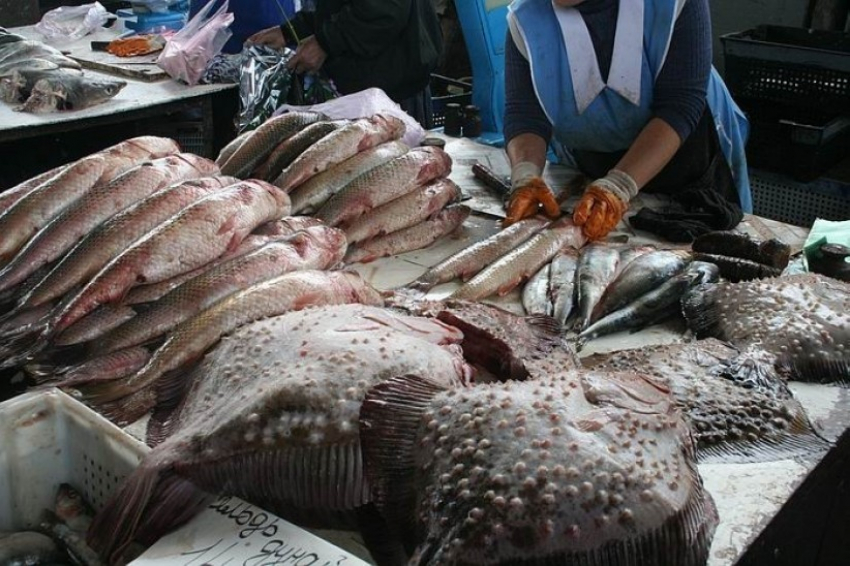 В Воронеже свежезамороженный минтай хранился без ветеринарных документов