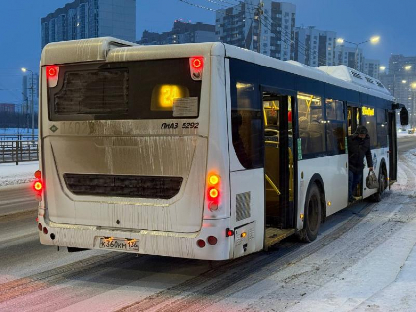 В Воронеже проводят повторный мониторинг общественного транспорта на «шиловских» маршрутах