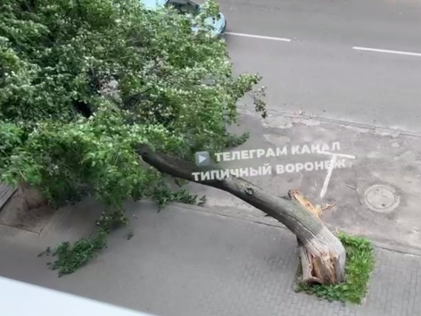 Разрушительные последствия непогоды сняли в Воронеже