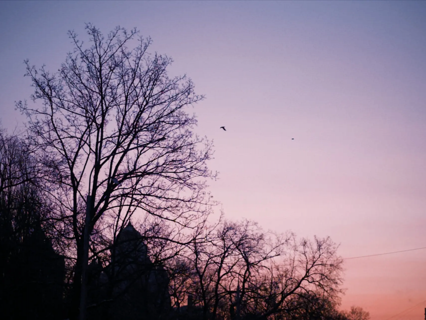 С крыш полетит все, что плохо лежало: какая погода будет в Воронеже