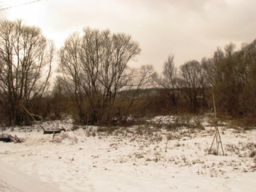 Замерзший труп мужчины нашли в камышах под Воронежем