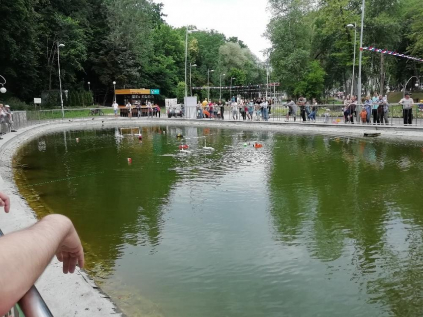 КПП и шлагбаум поставят на входе в Центральный парк Воронежа