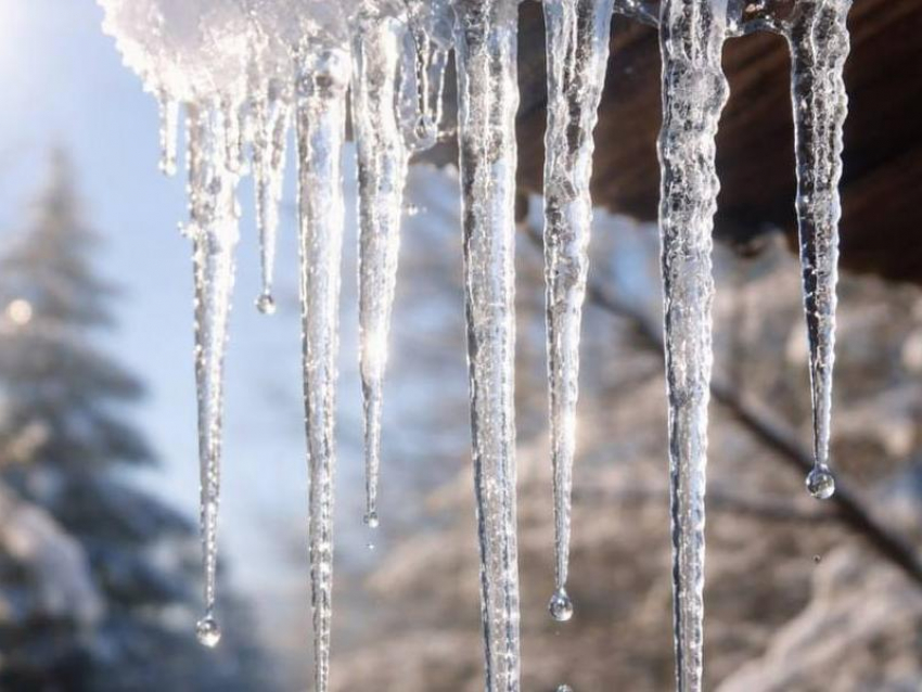 Порадует ли воронежцев погода в начале следующей недели?