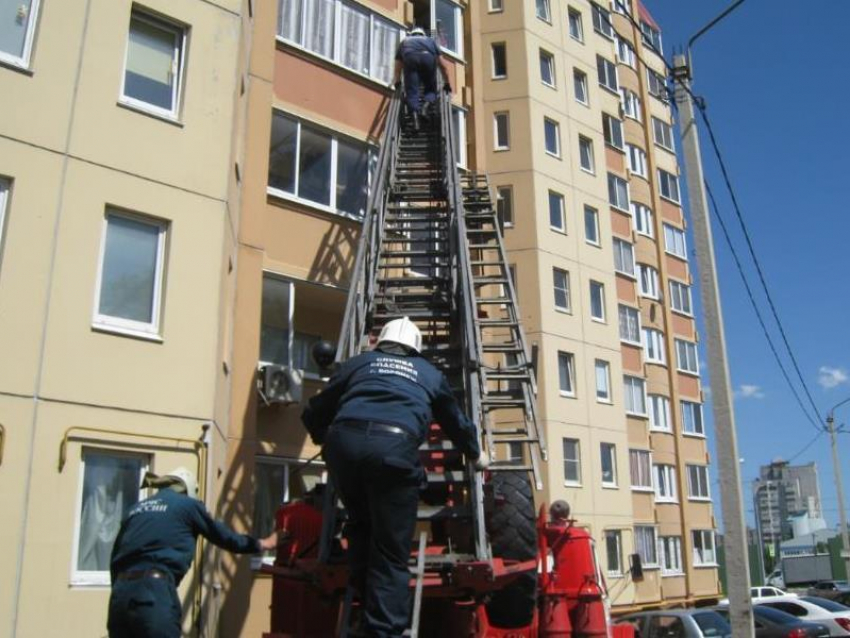 Курьезную ловушку устроила полуторагодовалая внучка бабушке в Воронеже