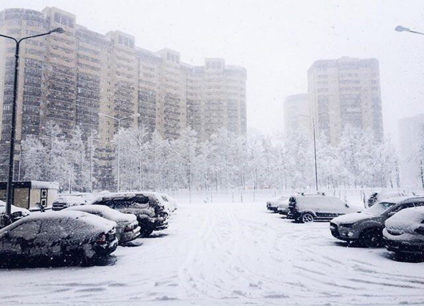 Синоптики пообещали ежедневные снежные бури в Воронеже
