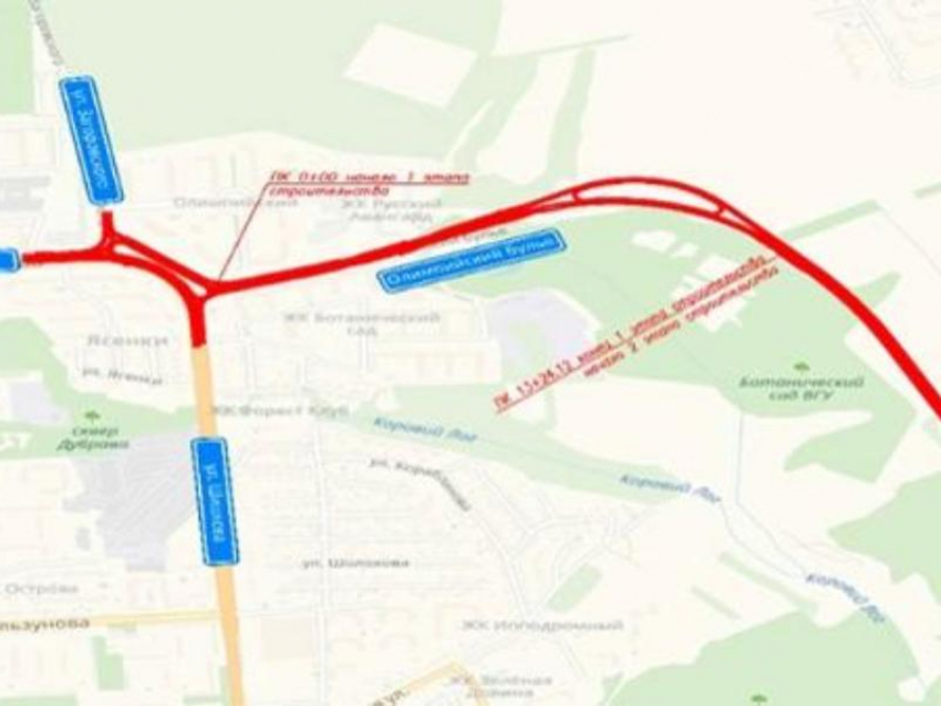 Дорога, связующая улицы Шишкова и Тимирязева, обойдётся воронежским властям в 1,7 млрд рублей