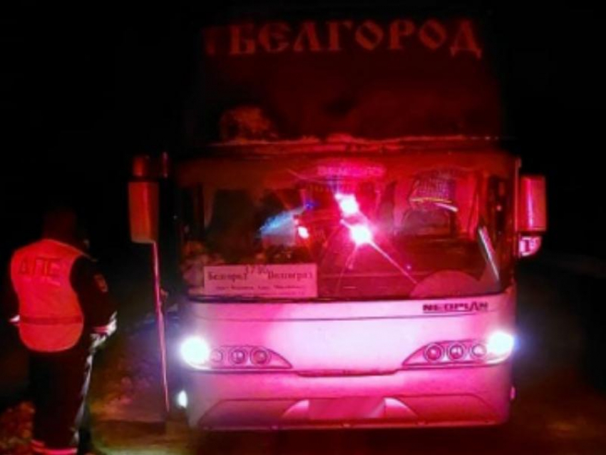 Воронежская полиция обнаружила заглохший автобус с 20 пассажирами на ночной зимней трассе 