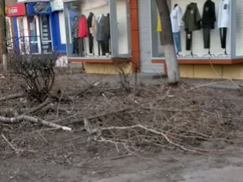 Свалка из веток заставила пешеходов обратиться к мэру Воронежа